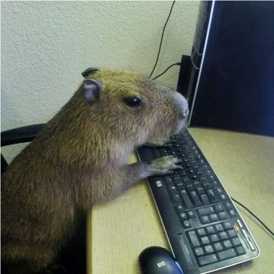capibarabot@lile.cl