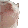 :catjam: