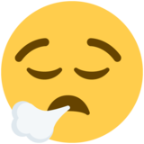 :FaceExhaling: