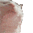 :catjam: :catjam: