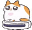 :catroomba: