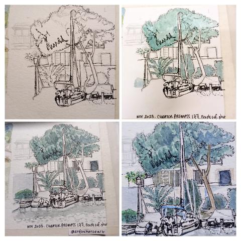 Top left to bottom right, four images showing the stages of developing my practice watercolour.
1. Pencil and ink
2. Initial green blocks of foliage
3. Added shadows and reflections
4. Added blue and white highlights.