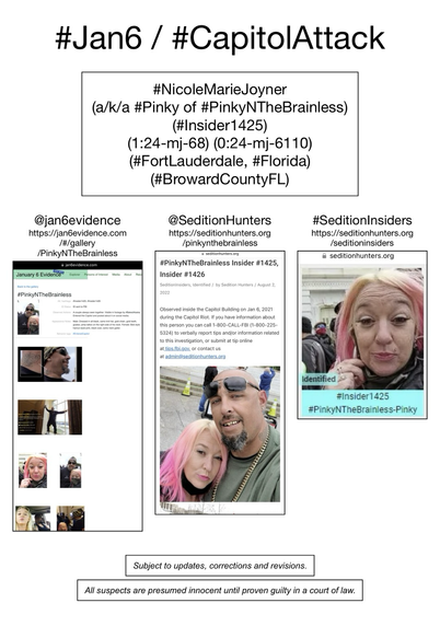 Photos of January 6th riot suspect Nicole Marie Joyner (Fort Lauderdale, Florida).
