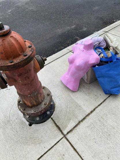 a bare torso garment display hanger, roughly painted pink, propped against a shoulder bag and cardboard box filled with clothing and personal items piled by a worn, concrete-splattered, orangish-red fire hydrant. sharp angles and grooves in the recently poured light-concrete sidewalk contrasts with the pressed dark rough asphalt street.