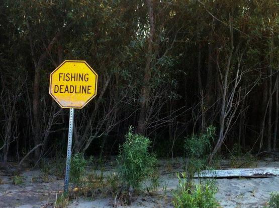 a yellow hexagonal caution sign erected in the sandy riverbank of the columbia river at rooster rock in portland oregon. the sign simply reads 'fishing deadline' in large capital letters. caked sand adheres a quarter of the way up the sign where the waterline would have been. a dark, wooded shrubby area provides a contrasting background