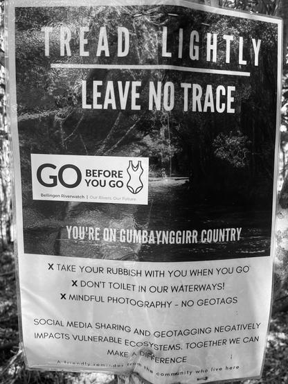 Trashing the Bellingen Never Never river.
Go before you go!