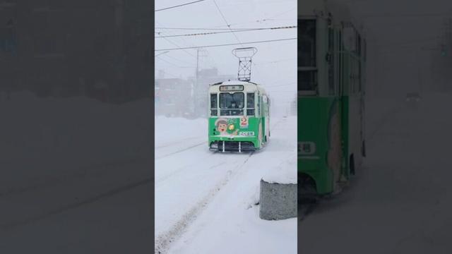 大雪の北海道函館市電 #snow #asiantravel #winter #travel #japan #japantravel #hokkaido #hakodate #一人旅 #北海道 #電車