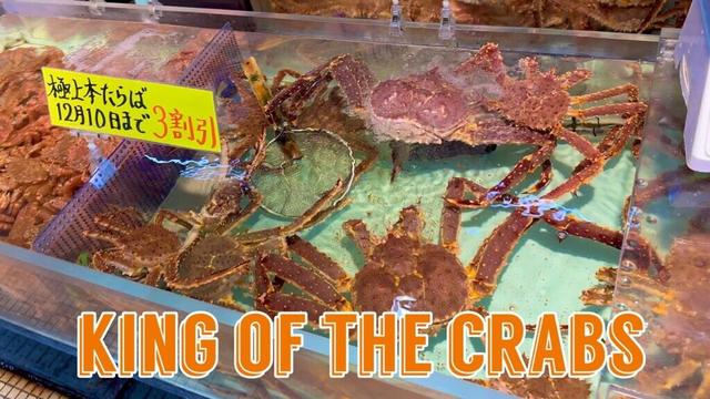 King Crabs of Northern Japan (Hokkaido)