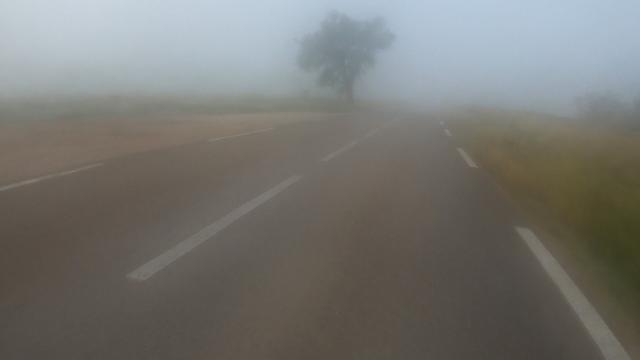 Une petite route de campagne des Bouches-du-Rhône dans le brouillard automnal. On devine un arbre au fond.