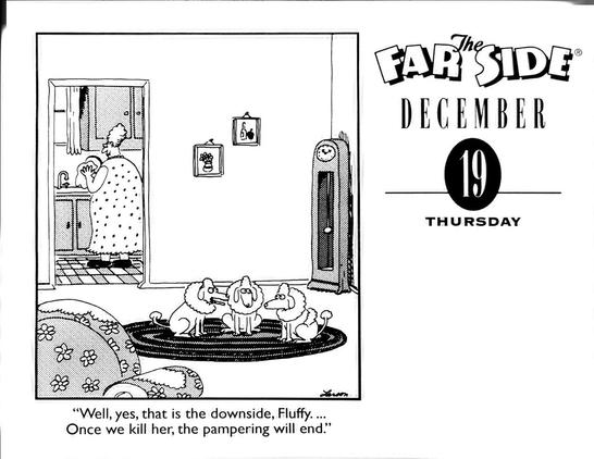 "Well, yes, that is the downside, Fluffy.... Once we kill her, the pampering will end."