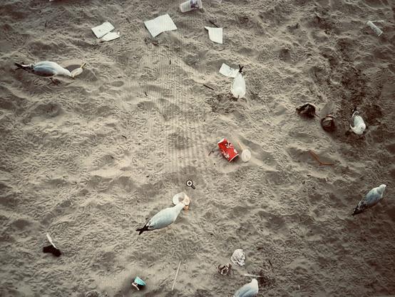 Takeaway plastic packaging forgotten on a NSW beach