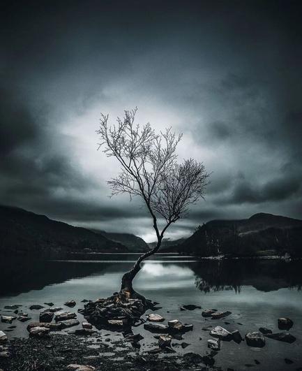 Photography. Black and white photograph of a scrawny tree leaning slightly to the side, surrounded by stones, standing in the water of a lake. In the background is the lake with hills on either side and dark clouds in the sky. In the center above the tree, however, the sky brightens and the light reflects on the lake.
Info: Taken with an Olympus AF-10 35mm compact camera