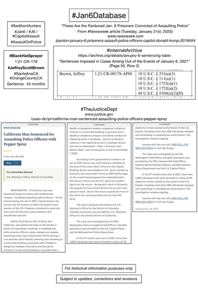 Screenshots of court information pertaining to convicted January 6th rioter Jeffrey Scott Brown (Santa Ana, California).