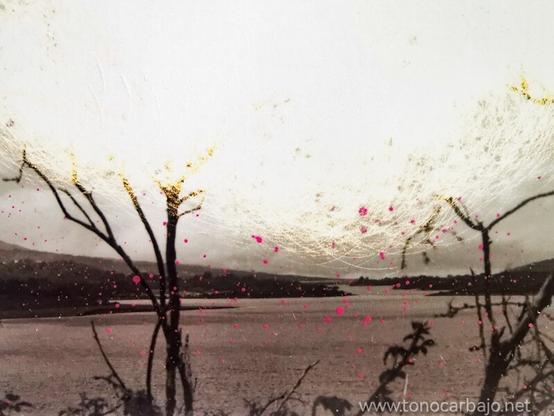 La imagen muestra un paisaje, una fotografía intervenida  que combina fotografía con pintura . Se observa un embalse de agua, que ocupa gran parte del centro de la imagen. La superficie del agua es relativamente tranquila y refleja la luz, sugiriendo un día nublado o una iluminación suave.
En primer plano, se distinguen siluetas de ramas y vegetación, lo que indica que la vista podría ser desde la orilla o un punto elevado cercano al agua. Estas siluetas están representadas en tonos oscuros, casi negros, lo que crea un contraste marcado con el fondo más claro. Algunas de estas ramas tienen detalles dorados o amarillentos que resaltan, añadiendo un toque de color y textura.

El cielo ocupa la mayor parte de la mitad superior de la imagen y está representado con una textura que sugiere nubes o un fondo difuminado. Sobre este fondo, se observan líneas finas y curvas que irradian desde un punto central, creando un efecto de movimiento o energía. Además, hay pequeñas manchas de color rosa intenso dispersas por toda la imagen, que parecen salpicaduras o puntos de pintura, añadiendo un elemento abstracto y vibrante al conjunto.

En la esquina inferior derecha, se encuentra la dirección web "www.tonocarbajo.net"
En general, la imagen tiene un aire melancólico y artístico, combinando elementos realistas del paisaje con intervenciones abstractas y coloridas. 
texto: Gemini