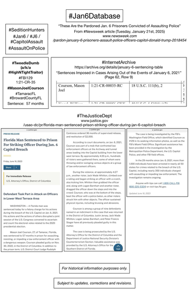 Screenshots of court information pertaining to convicted January 6th rioter Mason Joel Courson (Tamarac, Florida).
