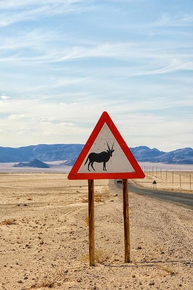 Road sign warning of oryx crossing in  desert landscape  in Namibia, Africa