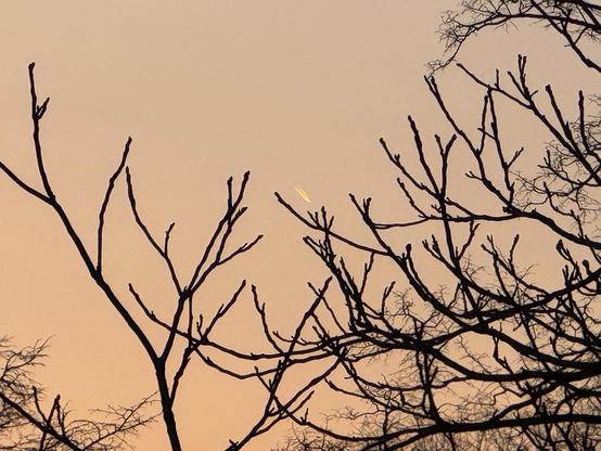 Vor einem gelblichen Himmel nach Sonnenuntergang ist aus der Ferne mittig ein kometenähnliches Himmelsphänomen mit goldenem Schweif zu sehen. Im Vordergrund einige dunkle Äste von Bäumen.