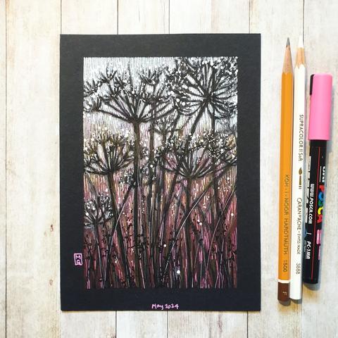 A colour drawing of silhouettes on black paper of cow parsley flowers, a wildflower also known as Queen Anne's Lace. The work has a background in grades of pink and white in the background.
An original art work
Colour pencil and mixed media on acid free toned artist paper
5 by 7 inches (12.7 by 17.8 cm). This is a standard photo size in the UK and USA and should be easy to DIY frame.
Sold unframed