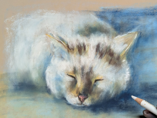 Photo of the almost finished painting 'Sleeping tabby cat' with the artist's hand holding a pastel pencil  ready to paint the whiskers of the cat.
Sleeping tabby cat is a pastel painting in landscape format hand-painted by the artist Karen Kaspar.
A cat with white fur and brown tabby spots is sleeping peacefully. Its head lies relaxed on the floor. The background is abstracted in soft blue and earthy tones. The softly smudged pastel chalk enhances the calm atmosphere and emphasises the cat's relaxed expression.