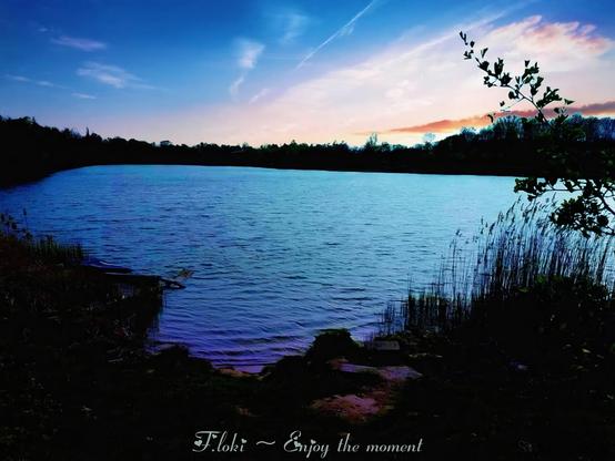 Das Bild zeigt einen idyllischen See in der Dämmerung, während des Sonnenuntergangs. Der Himmel ist in sanften Blau- und Orangetönen gefärbt, mit einigen zarten Wolken und einem Kondensstreifen. Das Wasser des Sees spiegelt die Farben des Himmels wider und wirkt ruhig mit sanften Wellenbewegungen.

Rechts ragen Äste mit Blättern ins Bild, was dem Ganzen eine natürliche Rahmung gibt. Im Hintergrund erstreckt sich eine Baumreihe, die als dunkle Silhouette gegen den leuchtenden Himmel steht.

Am unteren Rand des Bildes ist ein Schriftzug eingefügt: „Floki ~ Enjoy the moment“. Die Szene strahlt eine ruhige, friedliche Atmosphäre aus, die zum Innehalten und Genießen einlädt.