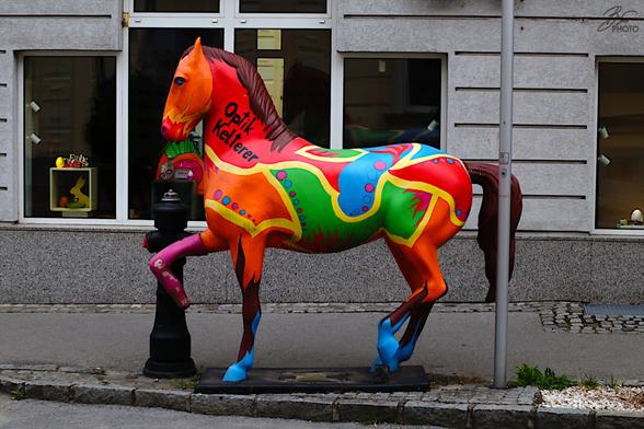 The Painted Horse of Stockerau