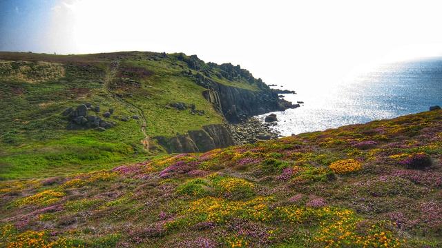 A wide, scenic shot captures a rugged coastal landscape in Cornwall. The foreground is dominated by a sloping hillside carpeted in a vibrant mix of flowering gorse, with its bright yellow blooms, and purple heather. The colours create a striking contrast against the green vegetation interspersed among them.
To the left, a well-trodden dirt path winds its way down the grassy hillside towards the dramatic cliffs. The cliffs themselves are dark, rocky, and jagged, plunging down to meet the sparkling blue sea. The sea stretches out to the horizon, reflecting the bright sky above. The coastline is uneven, with small coves and rocky outcrops where the waves break.
The sky is mostly overcast, with a bright, diffused light that illuminates the scene. The overall impression is one of wild, natural beauty, typical of the Cornish coastline with its characteristic flora and dramatic geological features.