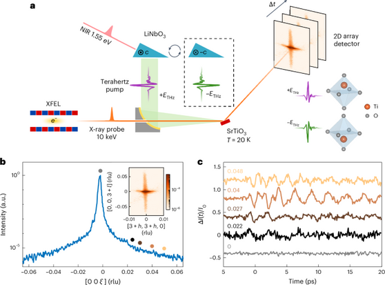 Observation of polarization density waves in SrTiO3