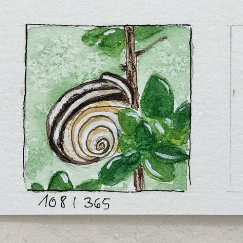 Eine Aquarellillustration einer Schnecke mit spiralförmigem Schneckenhaus, die auf einem grünen, belaubten Hintergrund ruht, begleitet von einem Baumzweig.