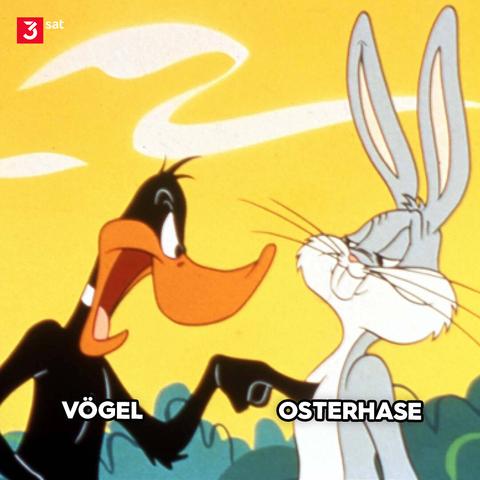 Bildbeschreibung: Comic. Ente Duffy Duck und Bugs Bunny. Duffy ist zornig und piekt Bugs Bunny auf die Brust. Bugs Bunny guckt entspannt-verschmitzt.