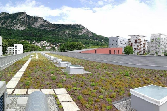 Toiture végétalisée du groupe scolaire Simone Lagrange, d'une surface de 412 m², situé au 11 rue Mélinée et Missak Manouchian à la Presqu'ile à Grenoble.