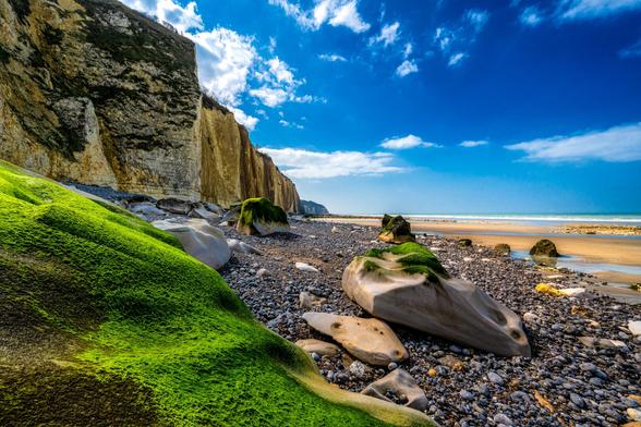 Grün bewachsene Felsbrocken unter Klippen am Strand in der Normandie.