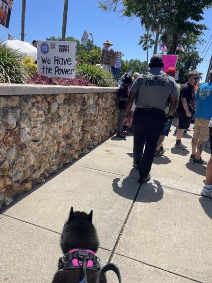 Millie Husky escorted by police at protest