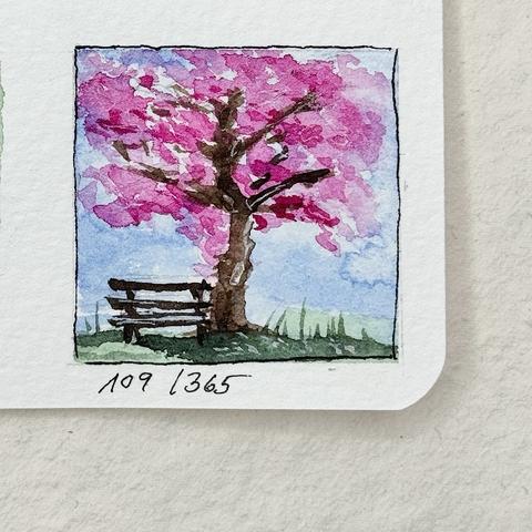 Ein Aquarell, das einen rosa blühenden Baum neben einer Holzbank vor einem blauen Himmel mit leichten Wolken zeigt.