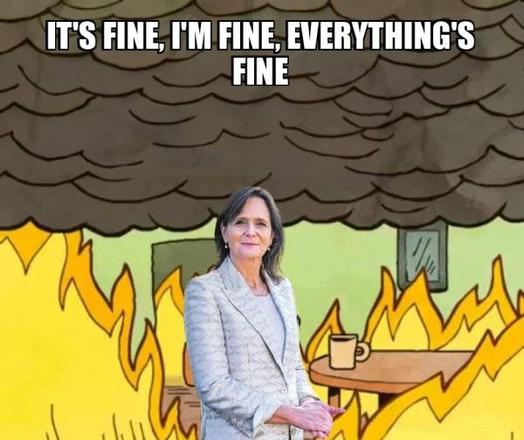 "everything is fine"-meme, waarbij de cartoon-hond die aan een tafel koffie drinkt, terwijl rondom hem de boel in de fik staat, is vervangen door Nicolien van Vroonhoven. Tekst: "It's fine, I'm fine, everything is fine."