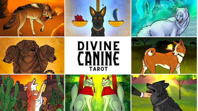 Collage of several canine related images. Clockwise from top left: a golden jackal carrying a torch, anubis with scales, a white arctic fox, a basenji carrying a torch, a black wolf being pet, two fox statues, a coyote rearing up on its hind legs, and a three headed dog. It says "Divine Canine Tarot" in the center.