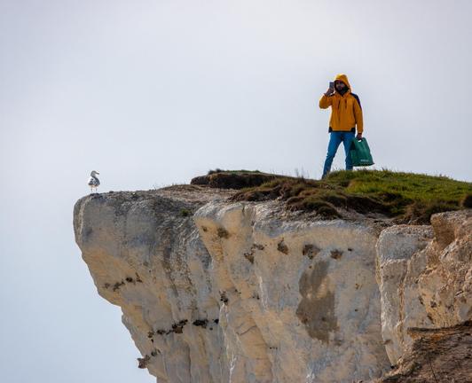 Someone stads near a cliff edge taking a photo with a phone, carrying a green Waitrose bag. Right on the edge of the cliff stands a seagull, its head turned towards them.