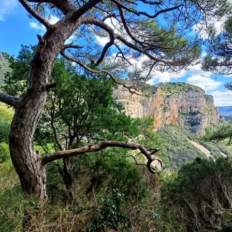 Les classiques de Saint-Guilhem-le-Désert : cirque de l'Infernet, Max Nègre et Fenestrettes