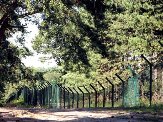 Grenzzaun im Wald