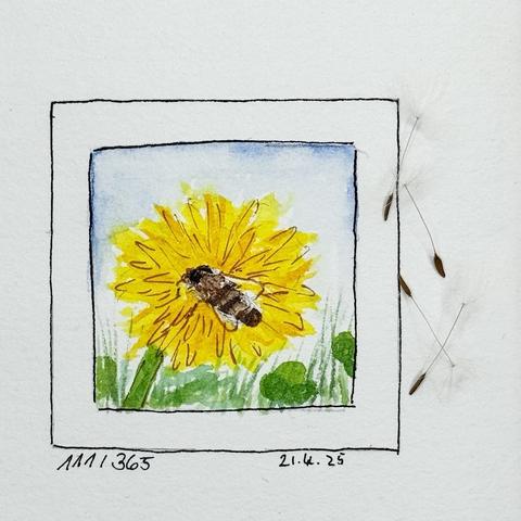 Eine Aquarellillustration zeigt eine Biene auf einer leuchtend gelben Pusteblume vor einem blauen Himmel. Neben dem Kunstwerk liegen verstreute Pusteblumenflocken, und am unteren Rand ist das Datum vermerkt.