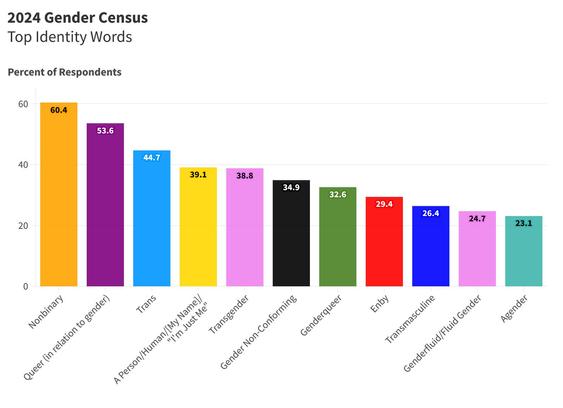 A colorful bar graph showing the performance of the top 11 identity words in  the 2024 Gender Census.