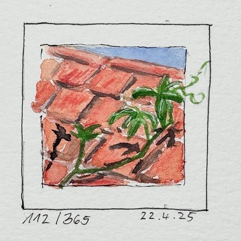 Ein kleines Aquarell, das ein strukturiertes rotes Ziegeldach mit zwischen den Ziegeln wachsenden grünen Ranken darstellt. Das Datum "22.4.25" und der Vermerk "112/365" sind am unteren Rand angebracht.