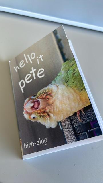 A zine with a yellow and green parrot being weird on the cover. It says “hello it pete” with “birb-zlog” under it. The zine sits on a greyish desk with a grey wrist rest visible in the top right corner.