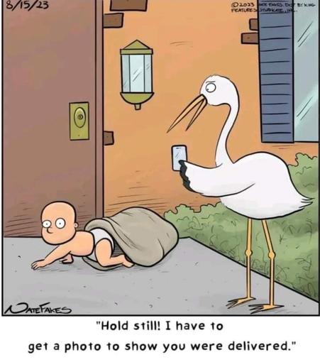 Single-panel comic strip by Nate Fakes from 15 August 2023. The scene is outside the front door of a house. A baby is crawling out of a blanket on the stoop. Nearby, a stork is holding a cell phone in front of himself. The stork says, "Hold still! I have to get a photo to show you were delivered."