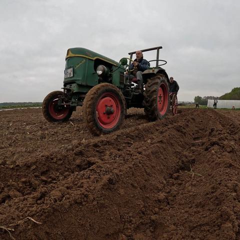 Ein alter Traktor von Deutz auf einem Acker