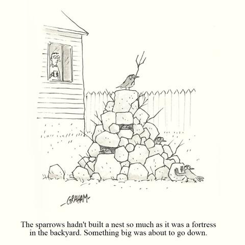 A cartoon illustration of a group of sparrows that have built a small fortress out of rocks and sticks while a man looks out his backyard window at them. Caption reads "The sparrows hadn't built a nest so much as it was a fortress in the backyard. Something big was about to go down."