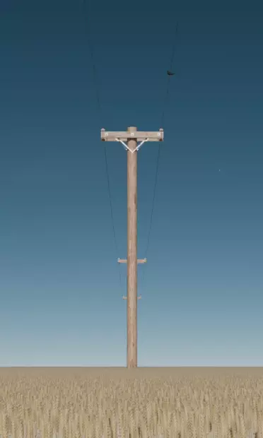 3D rendering of a line of telephone poles in a wheat field, diminishing one behind the other, with a small black bird perched on one wire and a clear blue sky above.