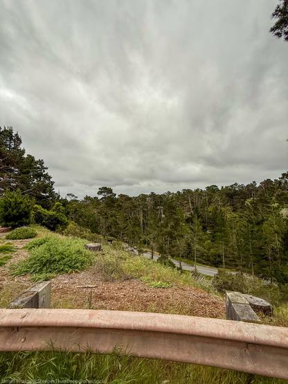 The image shows an overcast landscape with heavy gray clouds filling most of the sky. In the foreground is a guardrail or low barrier made of wood and metal. Beyond this is a hillside with mixed vegetation including short grass, shrubs, and what appears to be tree stumps. The middle ground features a winding road visible through a dense forest of evergreen trees. The forest extends across the landscape and up hillsides in the background. The overall scene has a moody atmosphere due to the cloudy conditions, showcasing a natural area with some human infrastructure present.