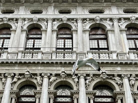Colour photo of a monumental building frontage, with two storeys of huge high arched fanlighted leaded windows, separated by marble columns and topped with marble heads and ornamental cherubs, and with Juliette balconies in front. At the top is a row of horizontal oval windows. The picture is all in shades of black and grey and dingy white. Almost in the centre of the frame is a seagull in flight, wings curved mid-flap in a shape reminiscent of the arched tops of the windows, but its dingy white and grey colouring means that it is so well camouflaged that you'd miss it if you weren't looking closely.