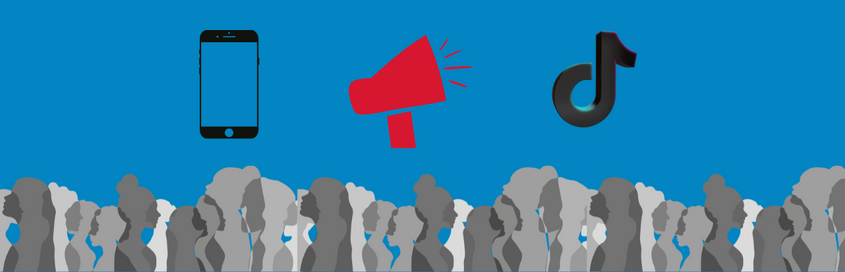 Grafik zeigt ein Smartphone, einen Lautsprecher und das TikTok-Symbol in den AfD-Farben