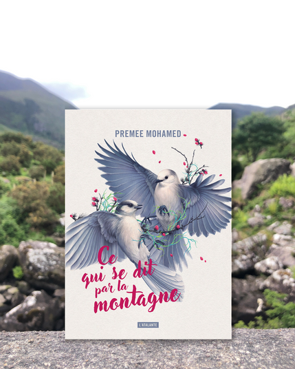 Livre posé sur une pierre entre deux montagnes en fond. La couverture du livre montre deux oiseaux en vol avec une branche de framboisier et des volutes vertes.